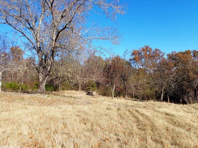 River Forest - Residential