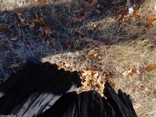 River Forest - Residential