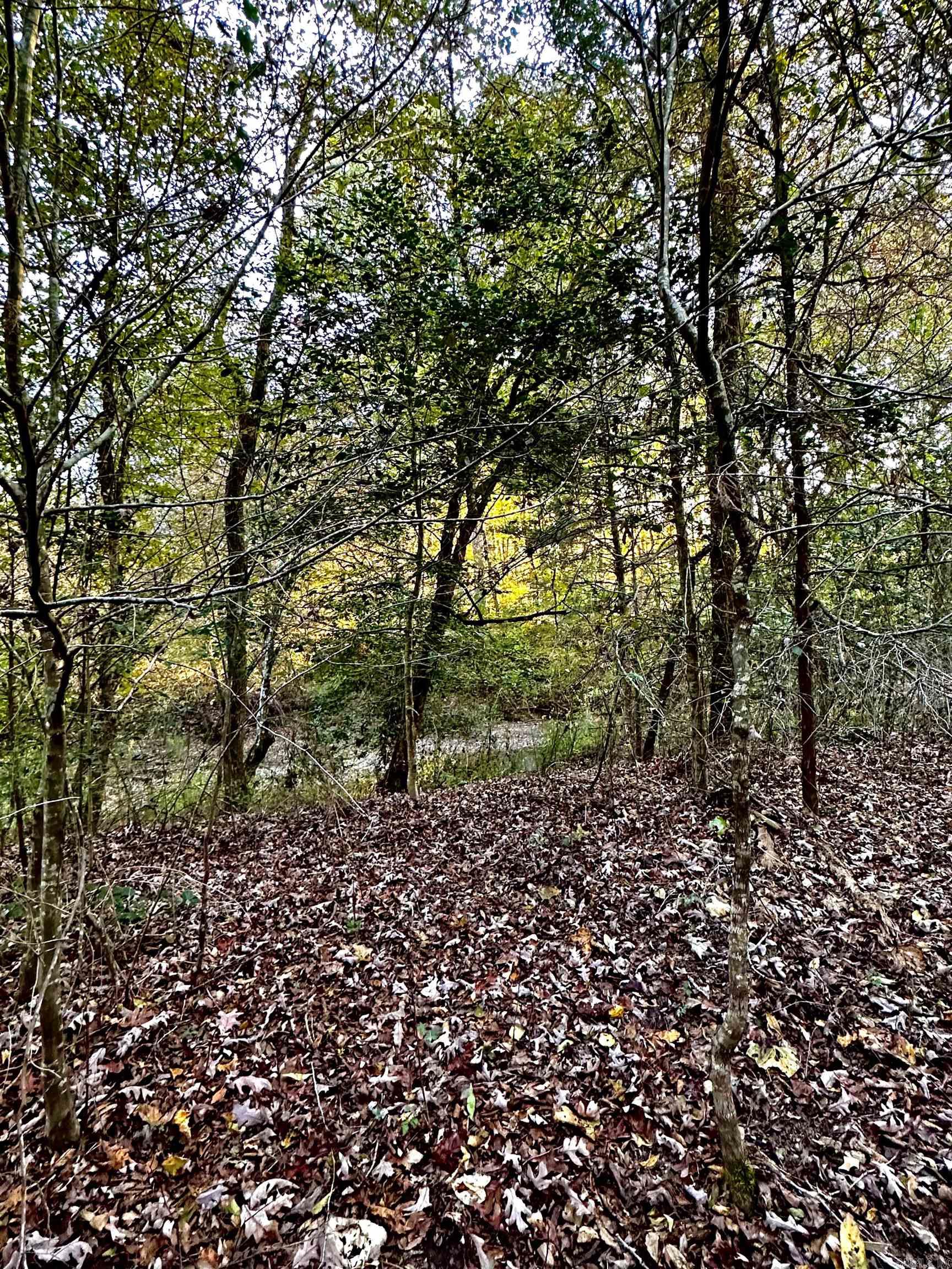 Metes & Bounds - Land