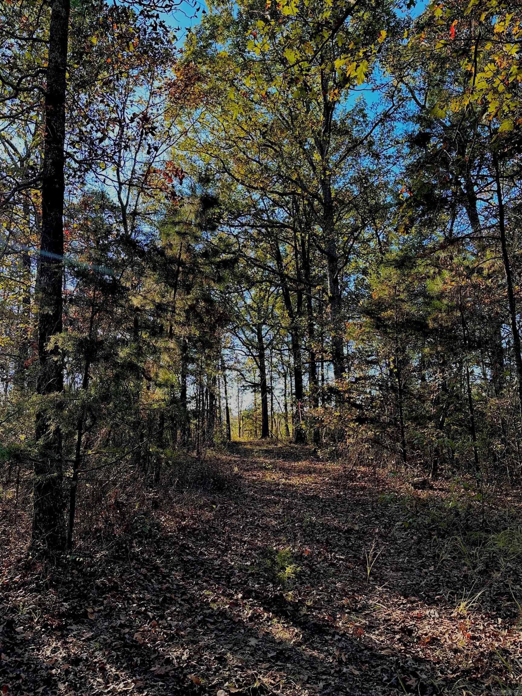 Metes & Bounds - Land