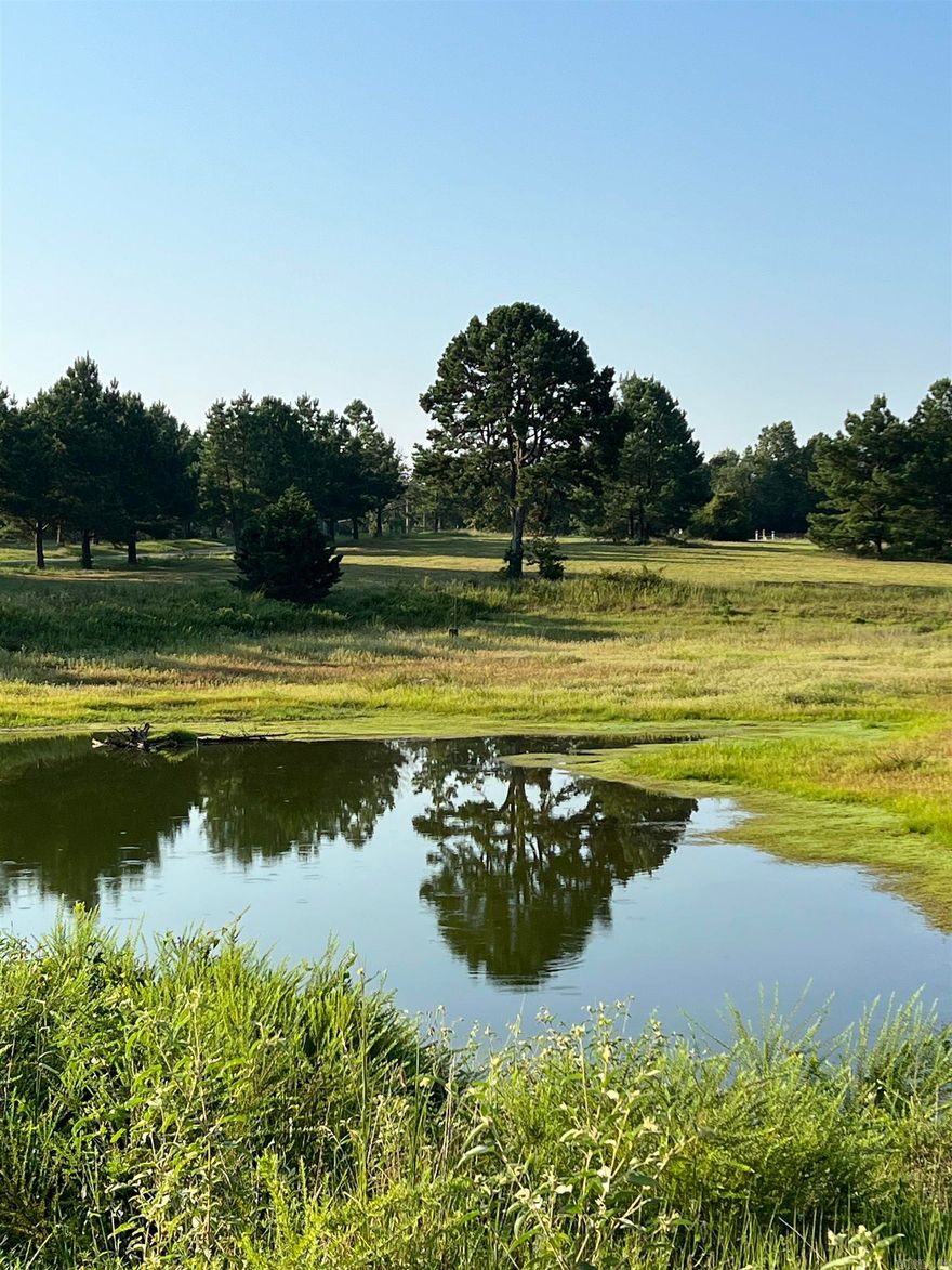 Private 20-Acre Country Retreat -20 Minutes from Searcy, Pond, Fenced Pastures, Utilities, Bardominiums Welcome!  Discover 20 secluded areas just 20 minutes from Searcy-- the perfect place to build a family compound or enjoy a ready-made country lifestyle. This premium property offers beautiful trees, abundant wildlife, a private pond, and fenced pastures with the manicured feel of a golf course setting. Utilities are available on the property. Livestock-friendly-- bring horses, cows, chickens, start a garden or build a bardominum (no mobile homes). A natural gas pipeline crosses a small portion of the land. An additional two-acre parcel which has a well is also available for purchase with cooperation for an easement to the back of the property.  There are other opportunities to purchase 205 Spring Road as well. When you see the potential of the land and make your appointment to see the lodge with your preapproval letter of credit, you will see what paradise look like on earth. Take a look at this video: https://www.youtube.com/watch?v=ukvA_JigVSo https://carmls.paragonrels.com/ParagonLS/Default.mvc#1,1