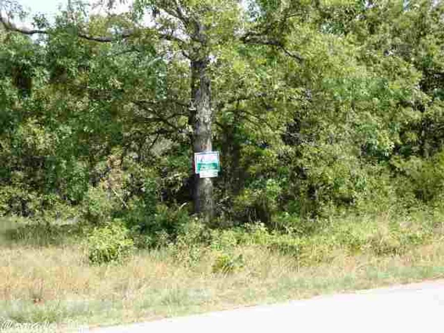 Located on paved county road with community water and electric and telephone. This 34 acre tract has lots of road frontage and some mature timber with excellent views. There is a great place to build a lake and several good home sites.  Only a few minutes back to town. The deer and turkey are very plentiful.  CALL JOE COTHAM FOR MORE INFORMATION OR A SHOWING. CALL 870-856-4780.