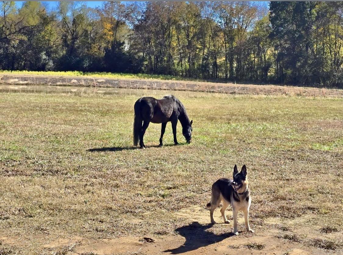 Franklin - Residential