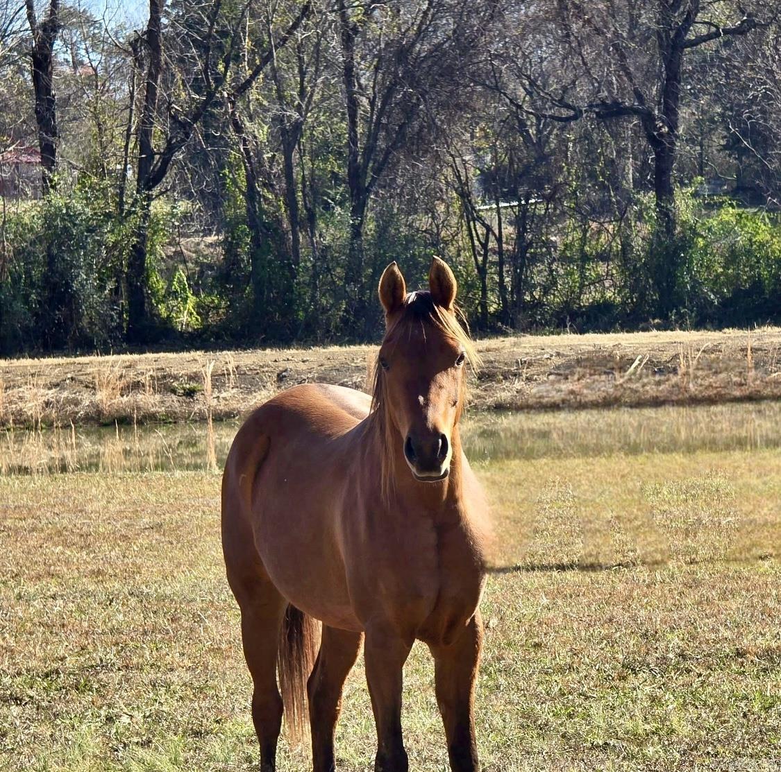 Franklin - Residential