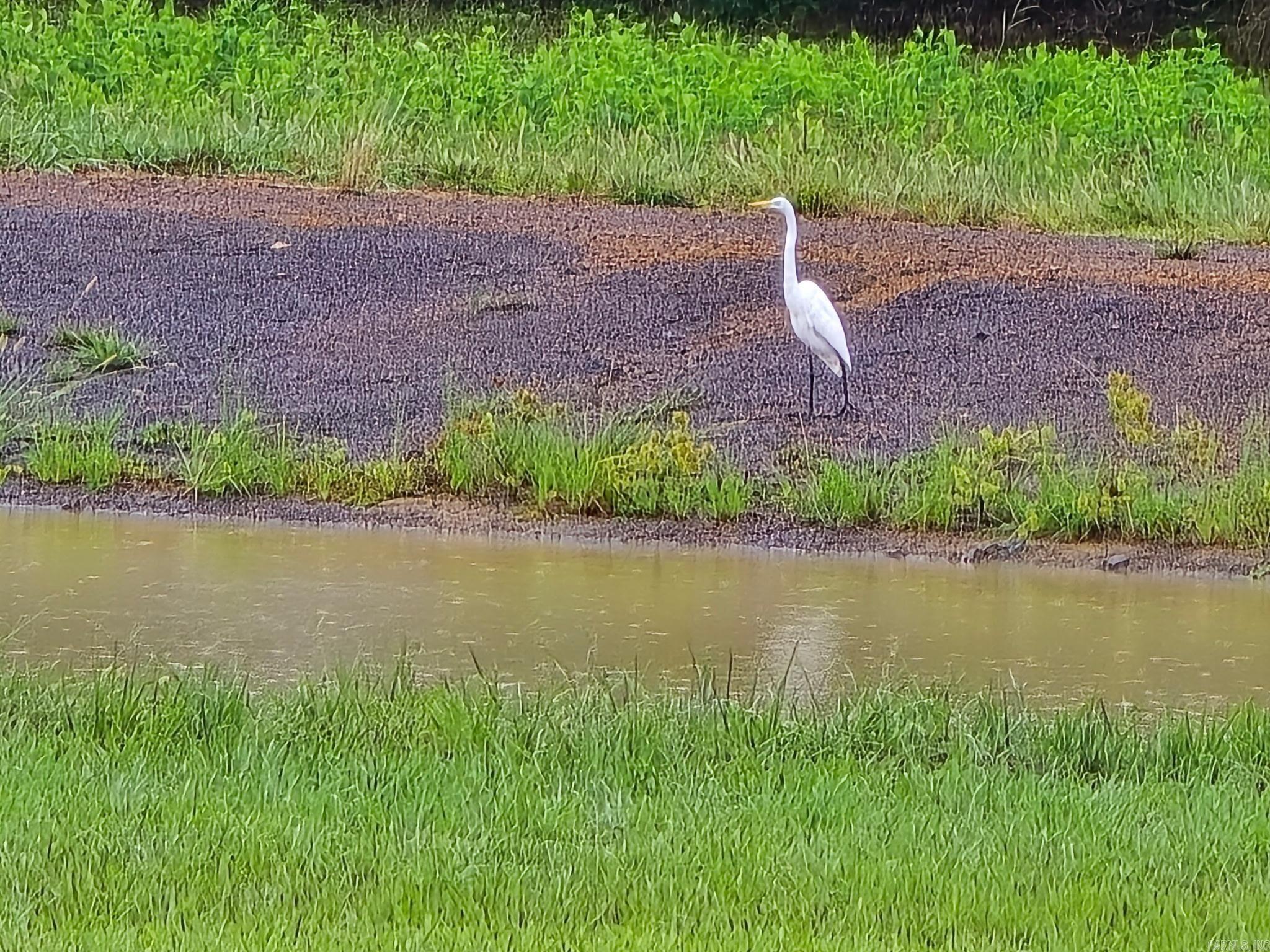 Franklin - Residential