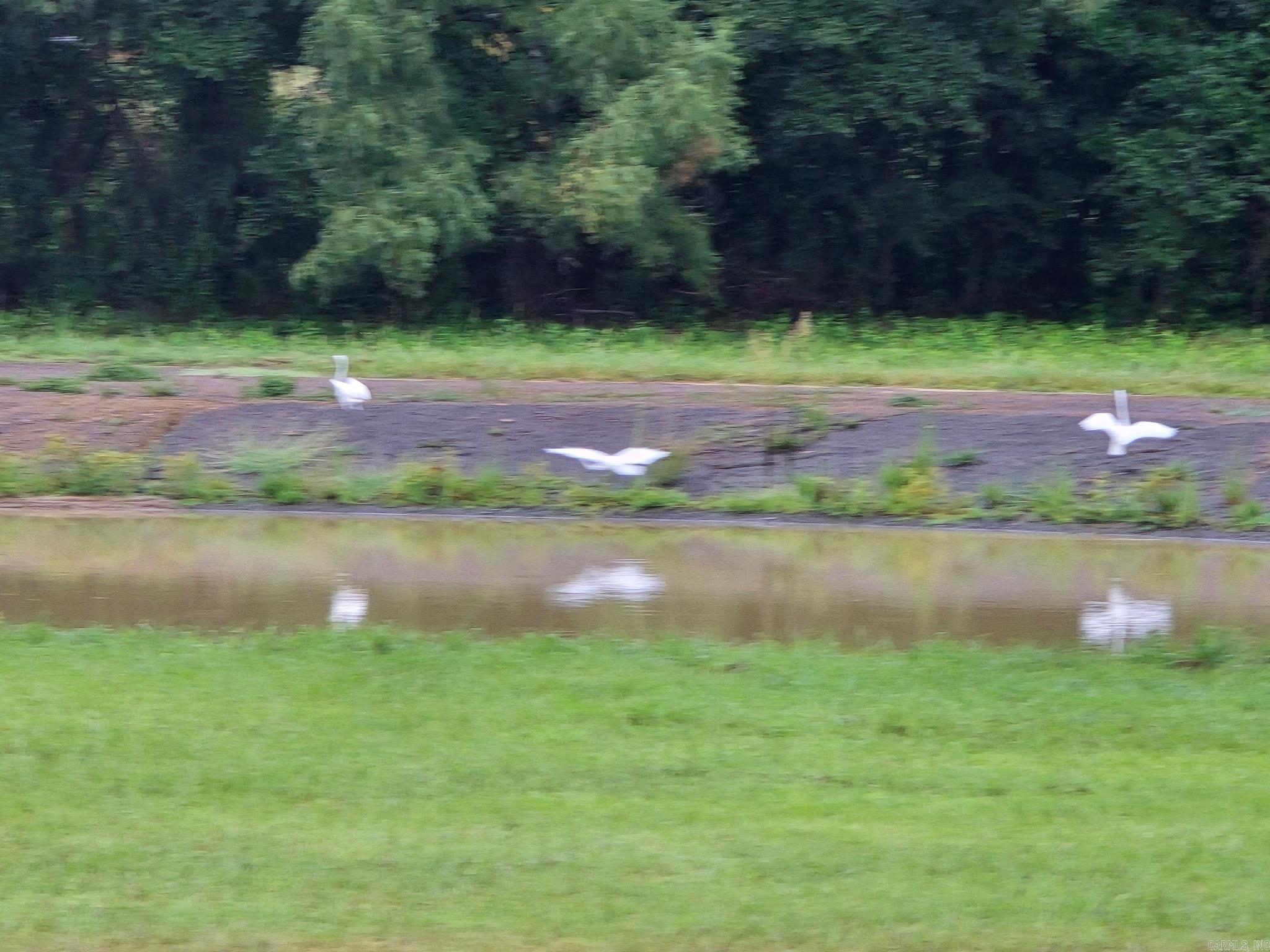 Franklin - Residential