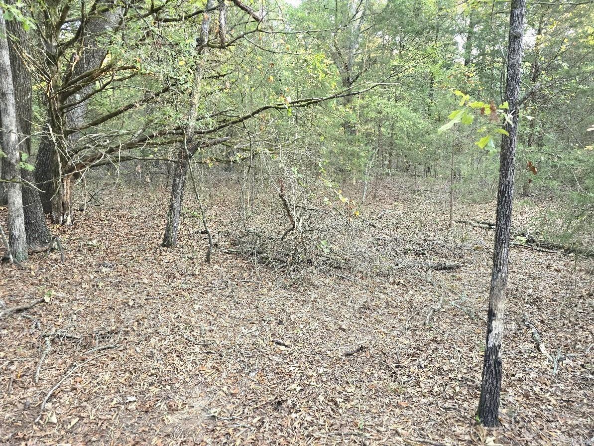 Cadron Creek Estates - Land