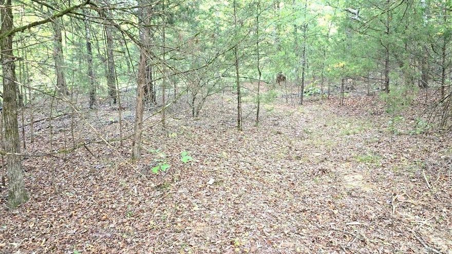 Take a look at this sweet 40 acres of Earth, ready for you to build your dream home!  There are hills, wet weather creeks, a pond, and plenty of flat areas to build a home or cabin.  Take advantage of the bottom 20 acres located in a flood plain, for all sorts of recreation opportunities such as hunting, or cut trails for biking or 4-wheelin.  This property could have everything you need to live a fun filled country life! Agents PLEASE read agent remarks.