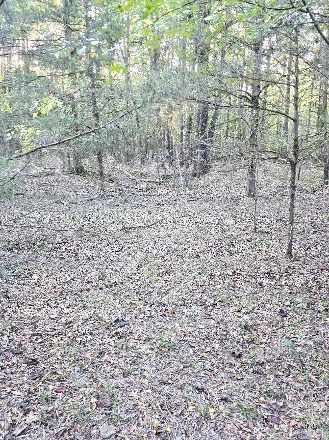 Cadron Creek Estates - Land