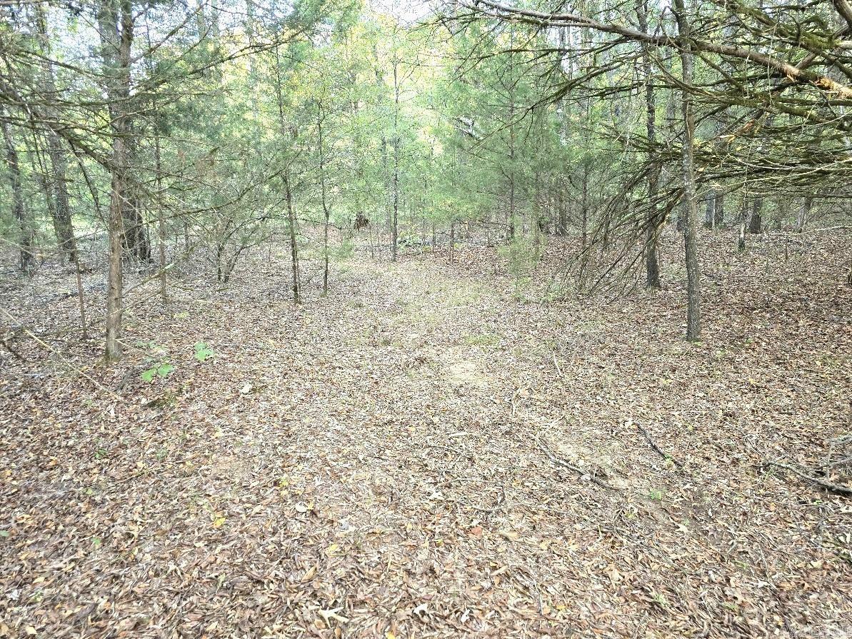 Cadron Creek Estates - Land