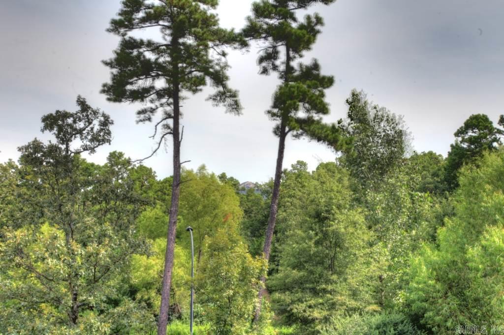 CHENAL VALLEY CHALLAIN PLACE - Residential