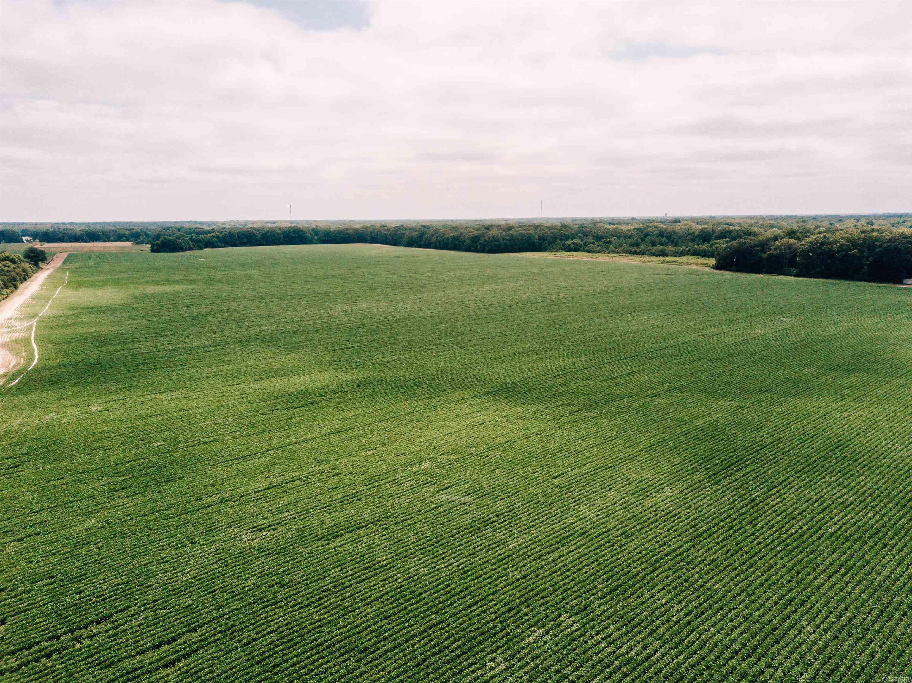 432.6+/- acres of prime farm land, located just north of DeWitt! Of the 432.6+/- acres, 232.43+/- are tillable, FSA acres. This tract boasts productive farm land as well as high quality hunting and recreation. With road access on both the east and west sides, the land is as accessible as it gets. Don't let this one pass you by!