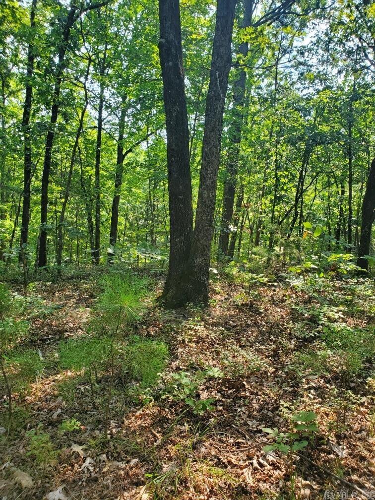 Board Camp - Land