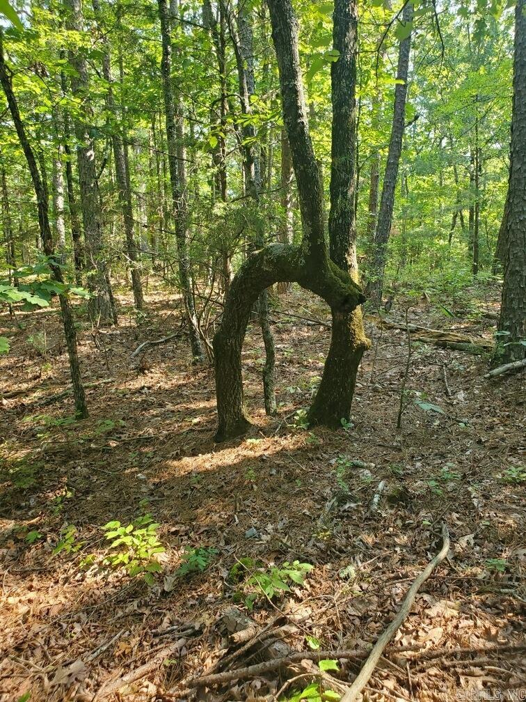 Board Camp - Land