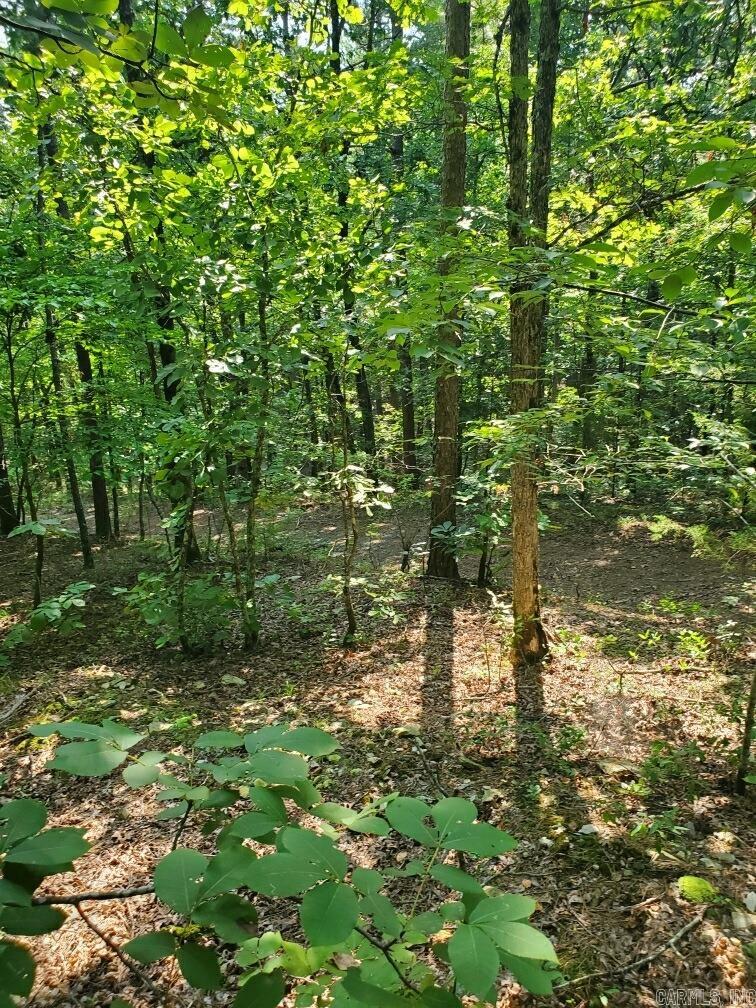 Board Camp - Land