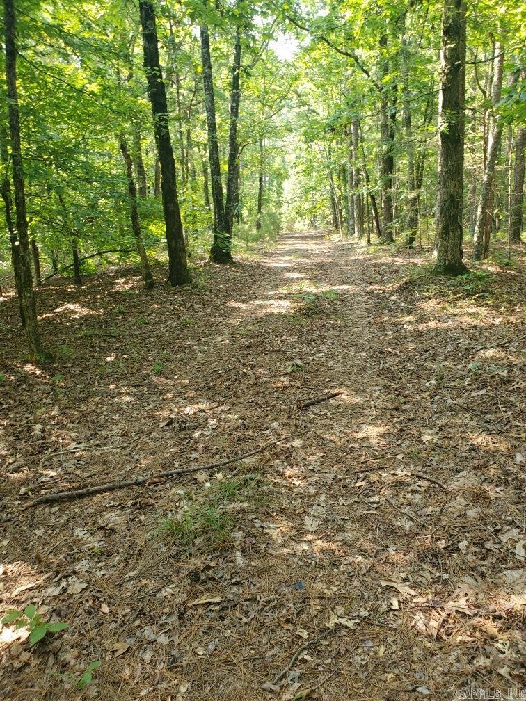 Board Camp - Land