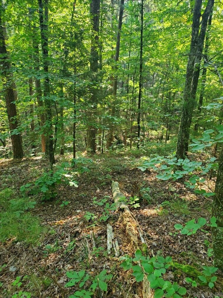 Board Camp - Land