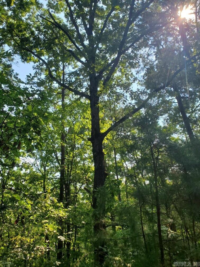 Board Camp - Land