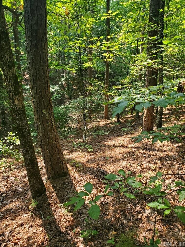 Board Camp - Land