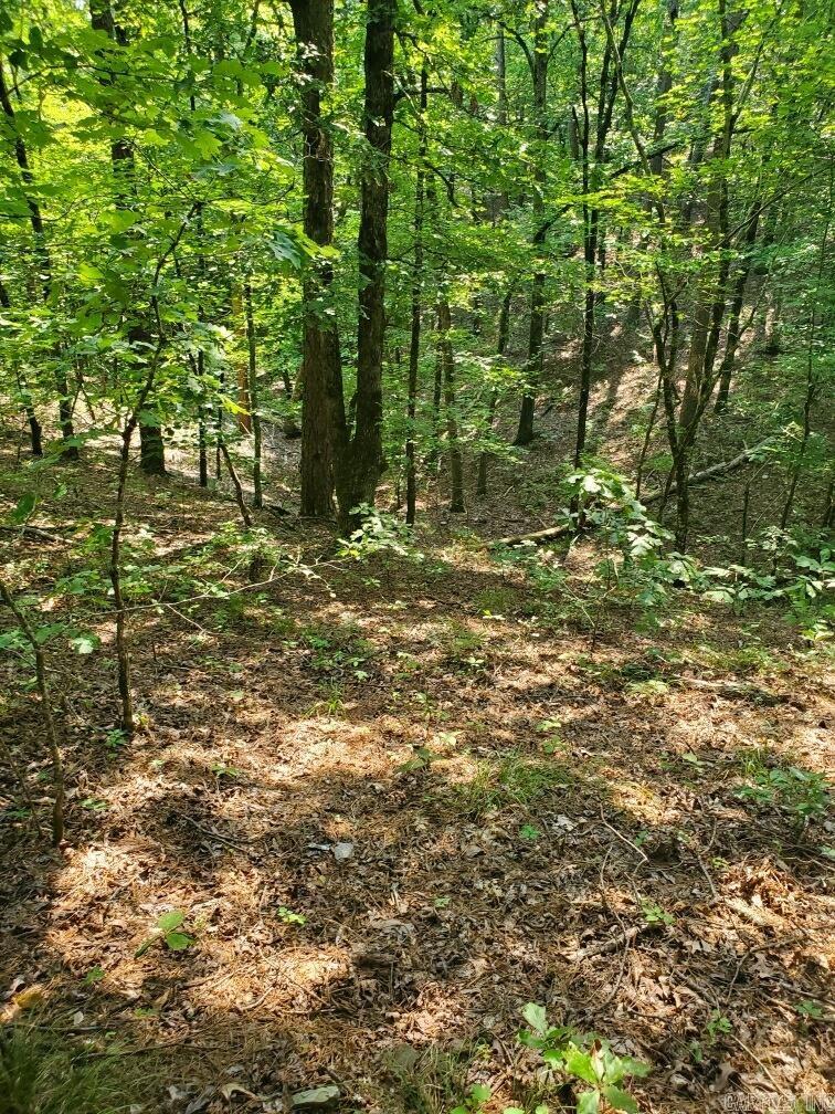 Board Camp - Land
