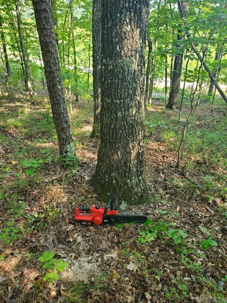 Board Camp - Land