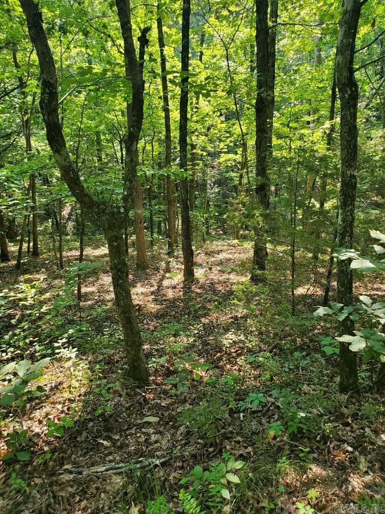 Board Camp - Land