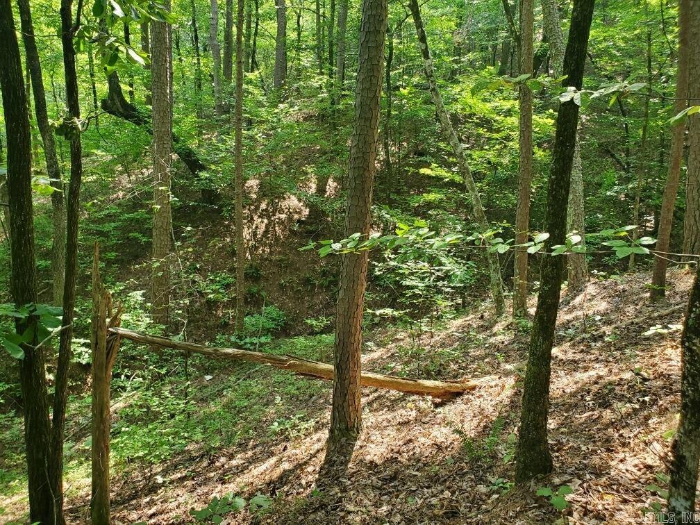 Board Camp - Land