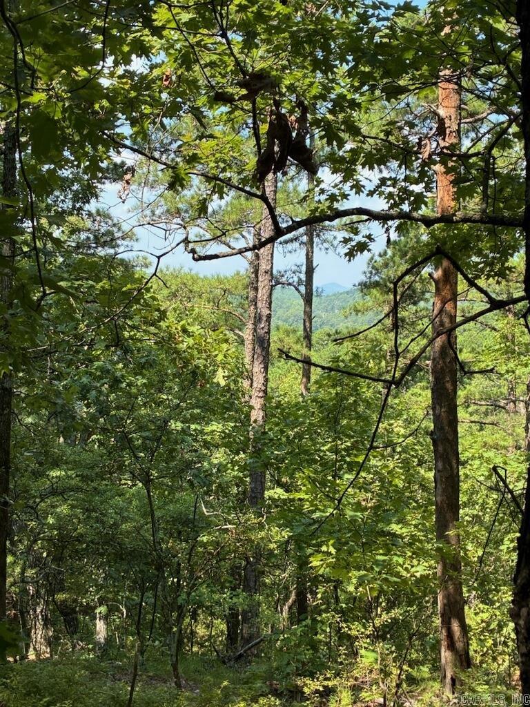 Board Camp - Land