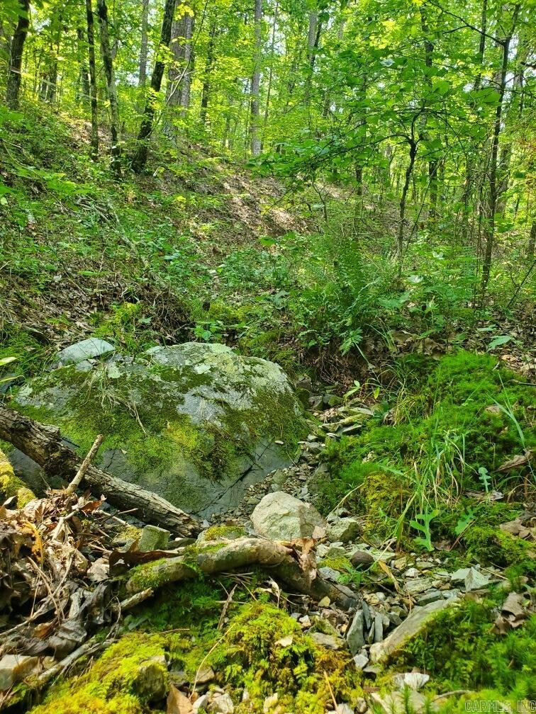 Board Camp - Land