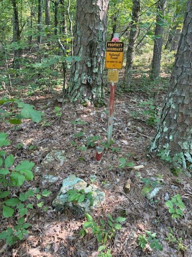 Board Camp - Land