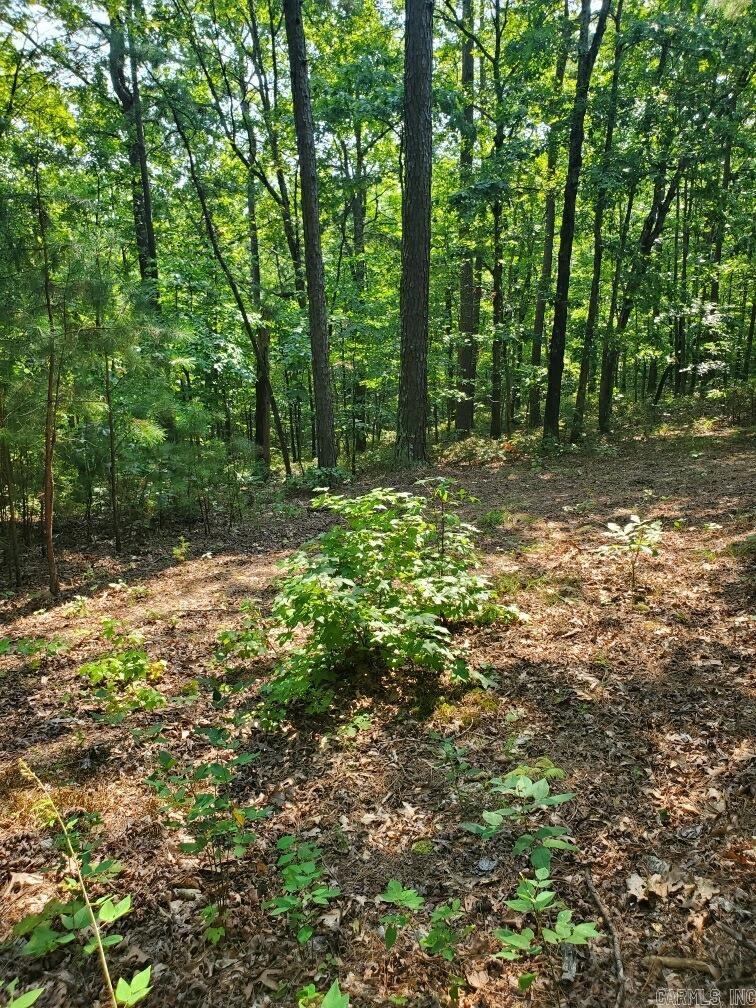Board Camp - Land