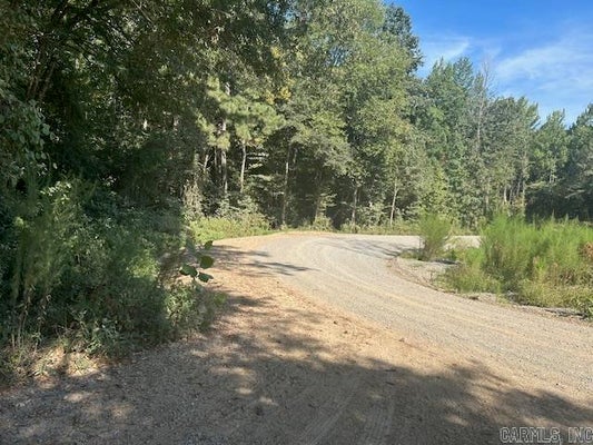 SHAW BRIDGE RD, BENTON, AR 72015 - Image 9bd8a15414a2d6624d3dc4f0e9ebbe46/1468800210