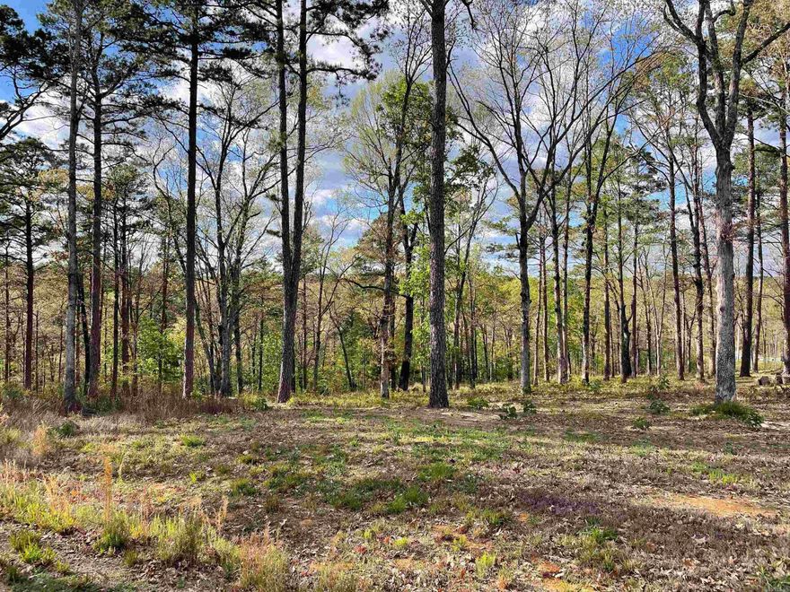 1.91 acres in Orchard Hill Ph 1 on top of Round Mountain. Conway Corp utilities, Conway Schools, Perc test done. Beautiful spot to build your dream home.