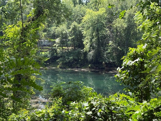 45 RIVER RIDGE RD, HEBER SPRINGS, AR 72543 - Image 9be7eaee358696e724a725cfee2df27a/3528721314