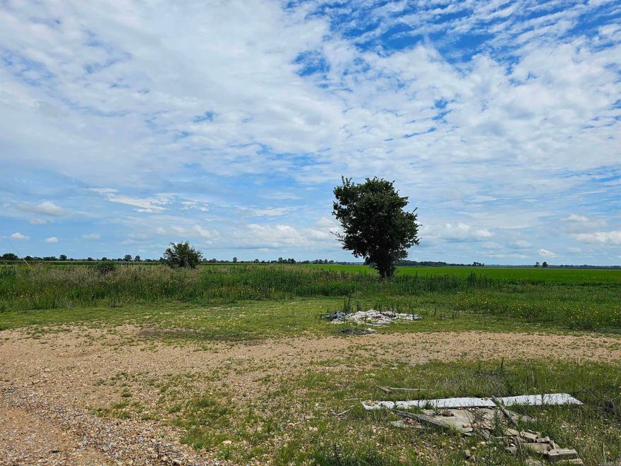 Looking for a great lot with working septic (per owner), and utilities already on the property? Then look no further! This is it! Lot size is approximately 108' along the western side that is along 135 S, and 420' along Greene 919 Rd. The home burned and has been cleared off. Ready for a new owner to build their own place!