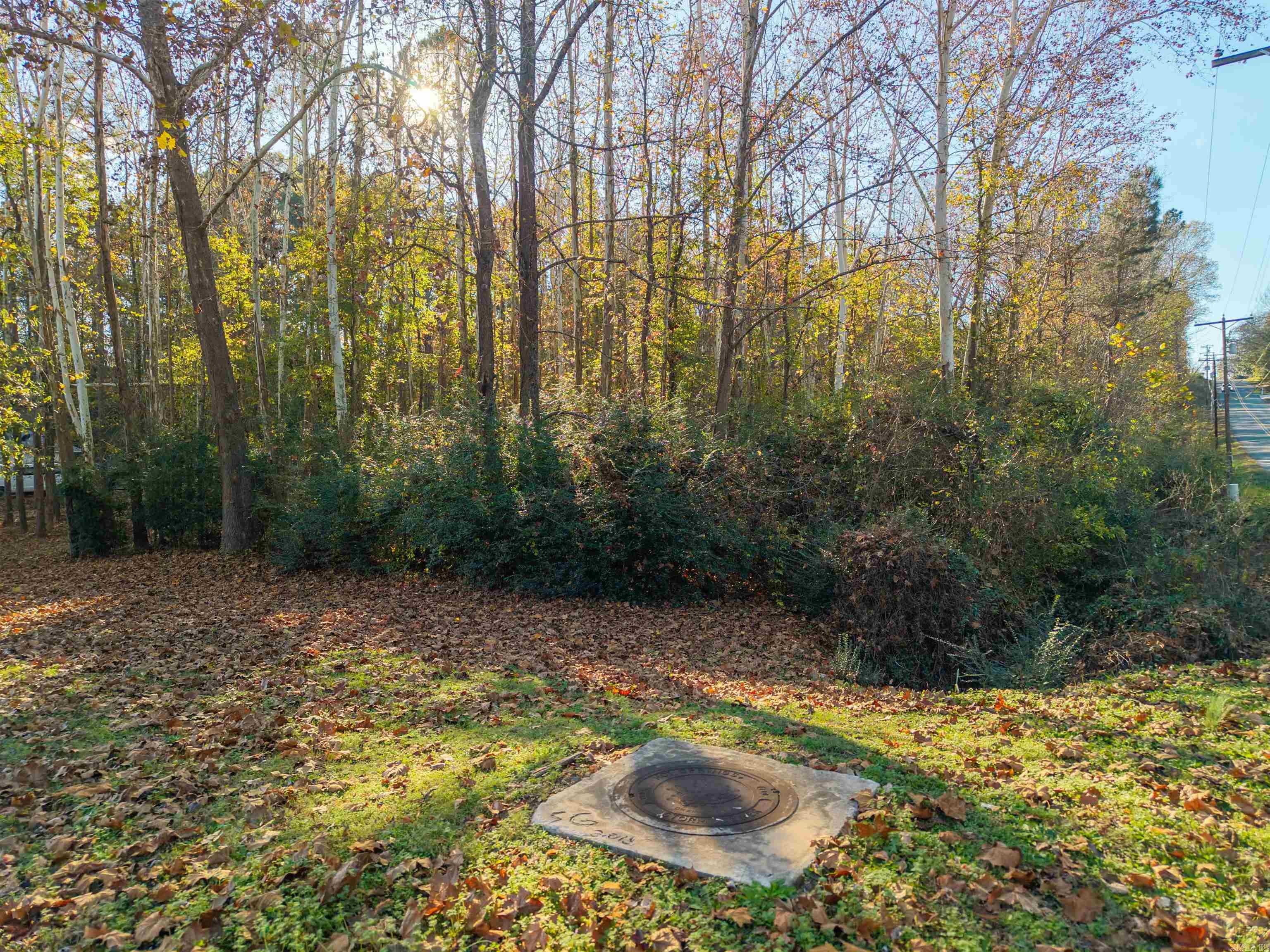 Indiandale #4 - Land