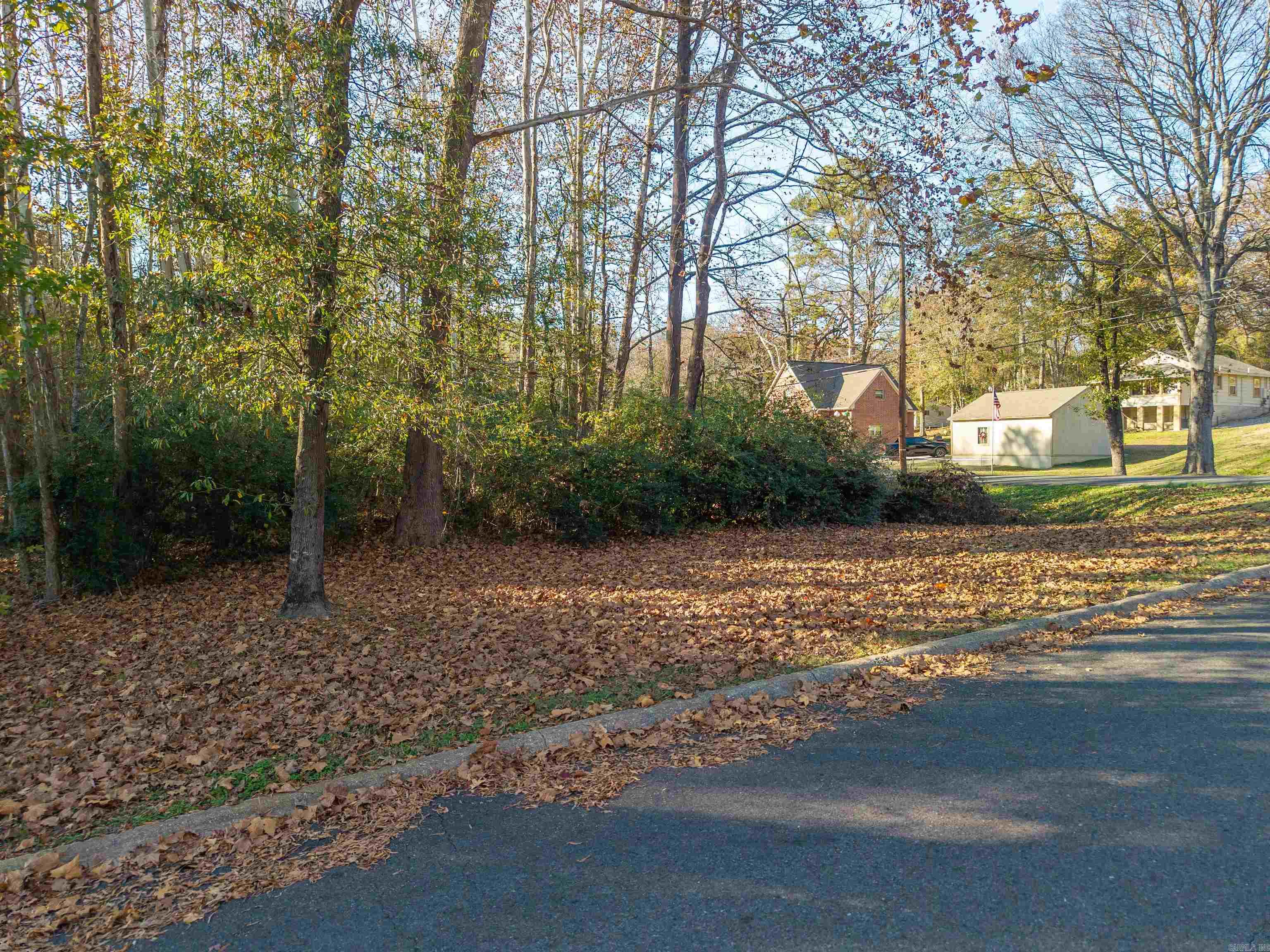 Indiandale #4 - Land