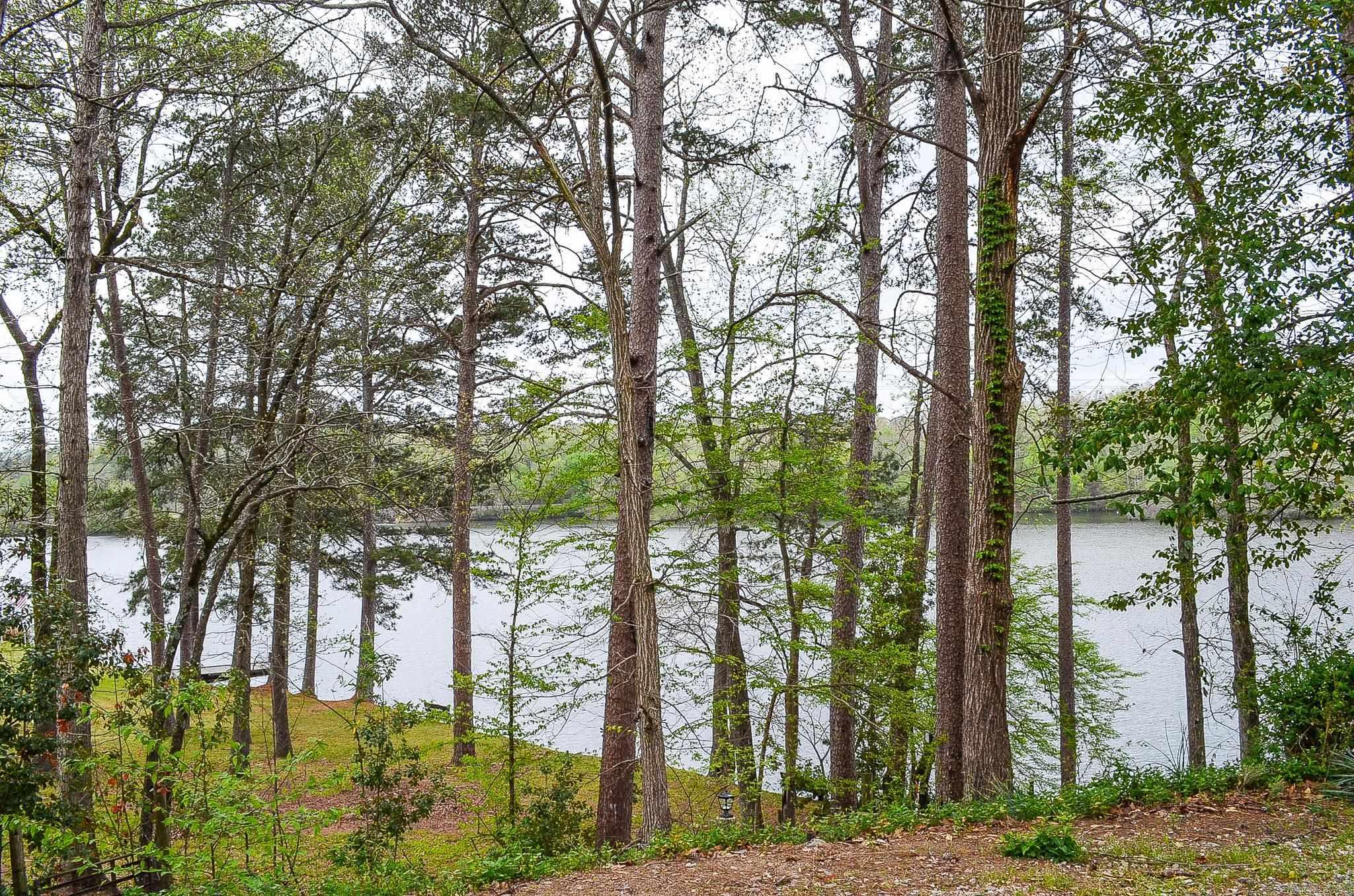 Magnet Cove - Residential