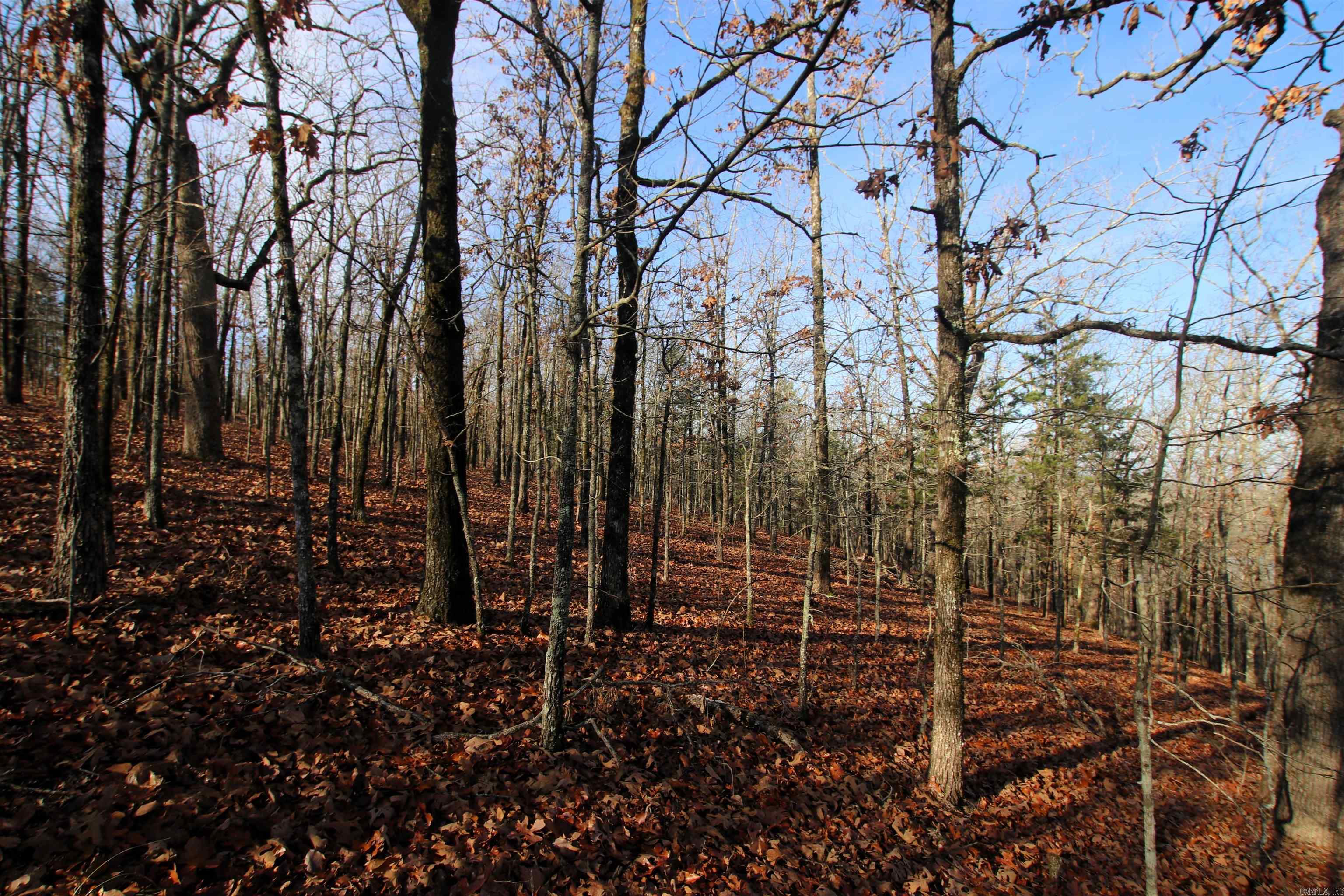 Not in Subdivision - Land