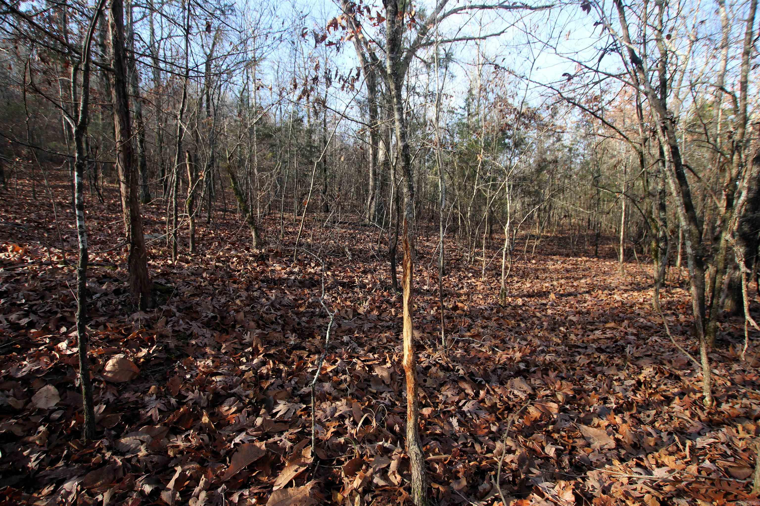 Not in Subdivision - Land