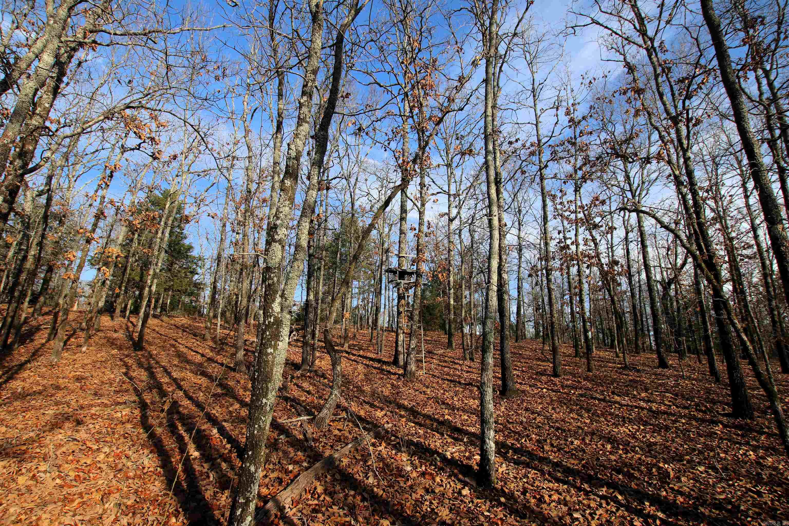 Not in Subdivision - Land