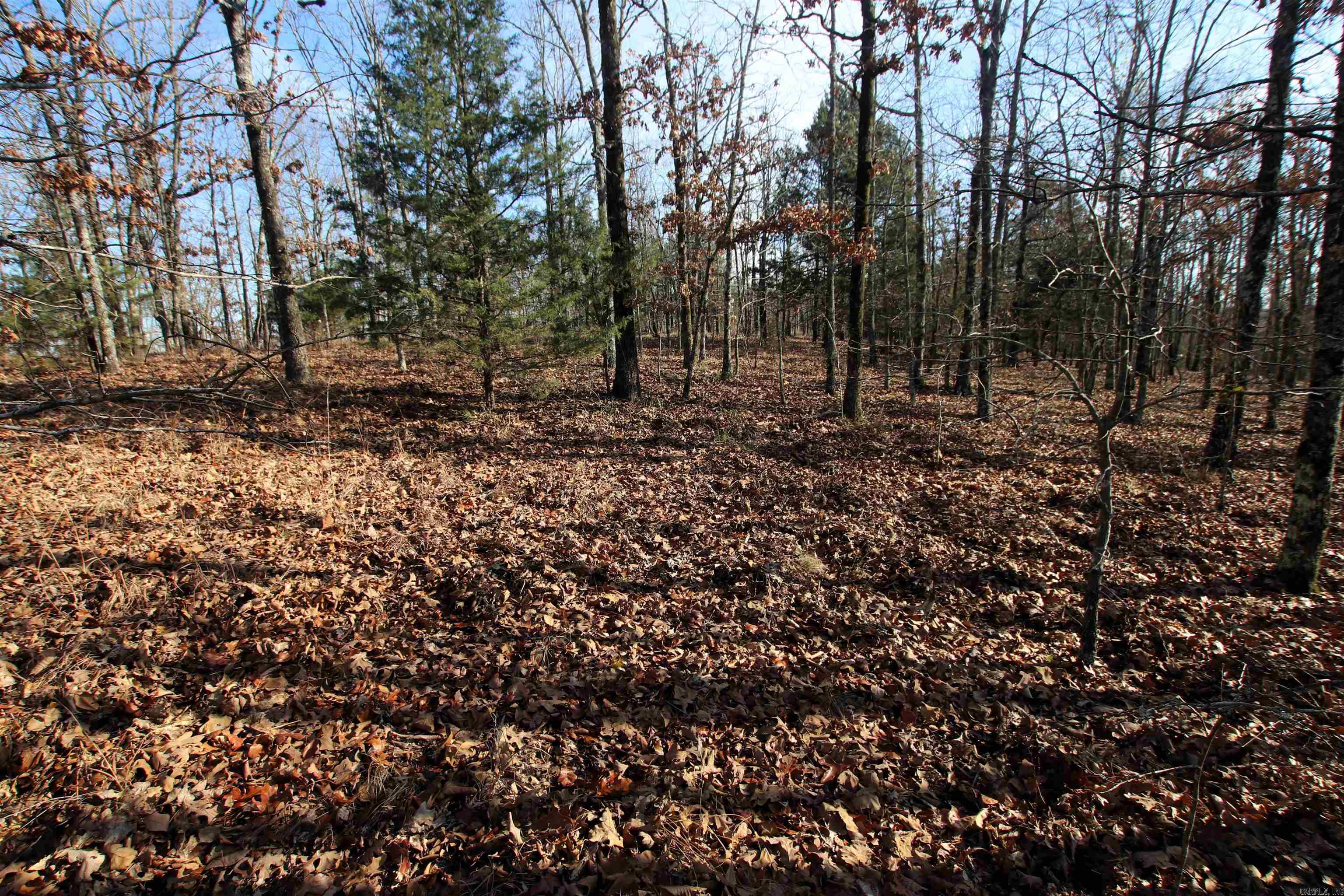 Not in Subdivision - Land