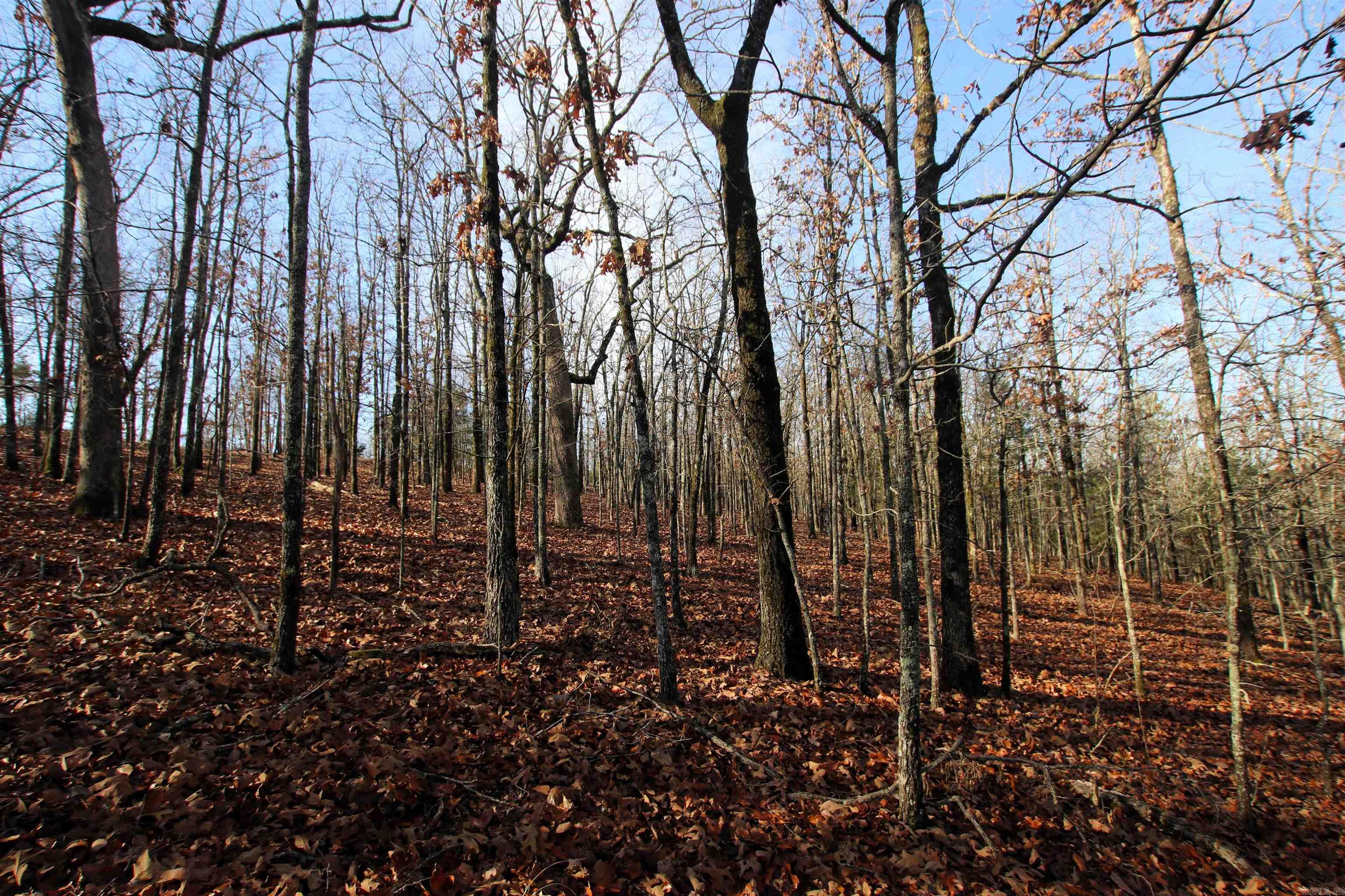 Not in Subdivision - Land