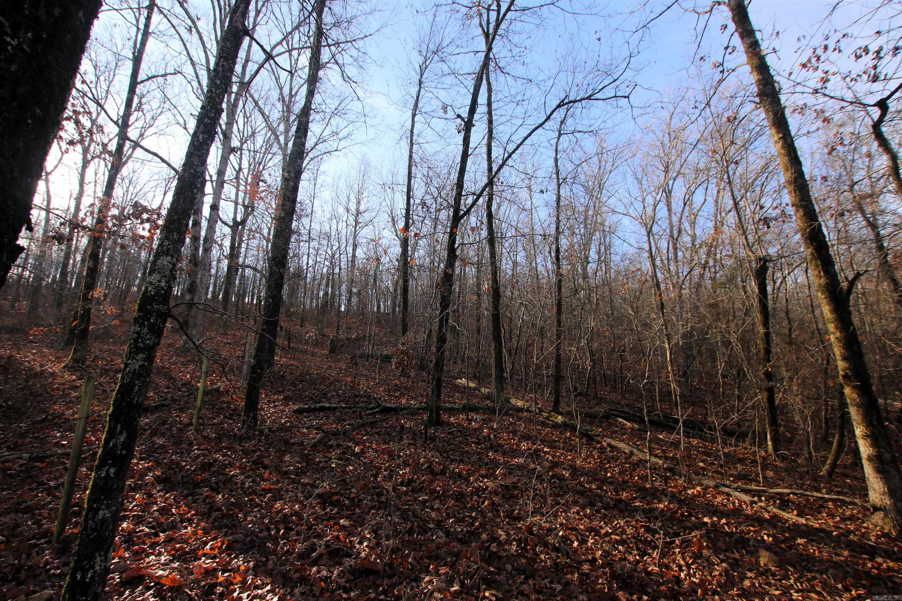 Not in Subdivision - Land