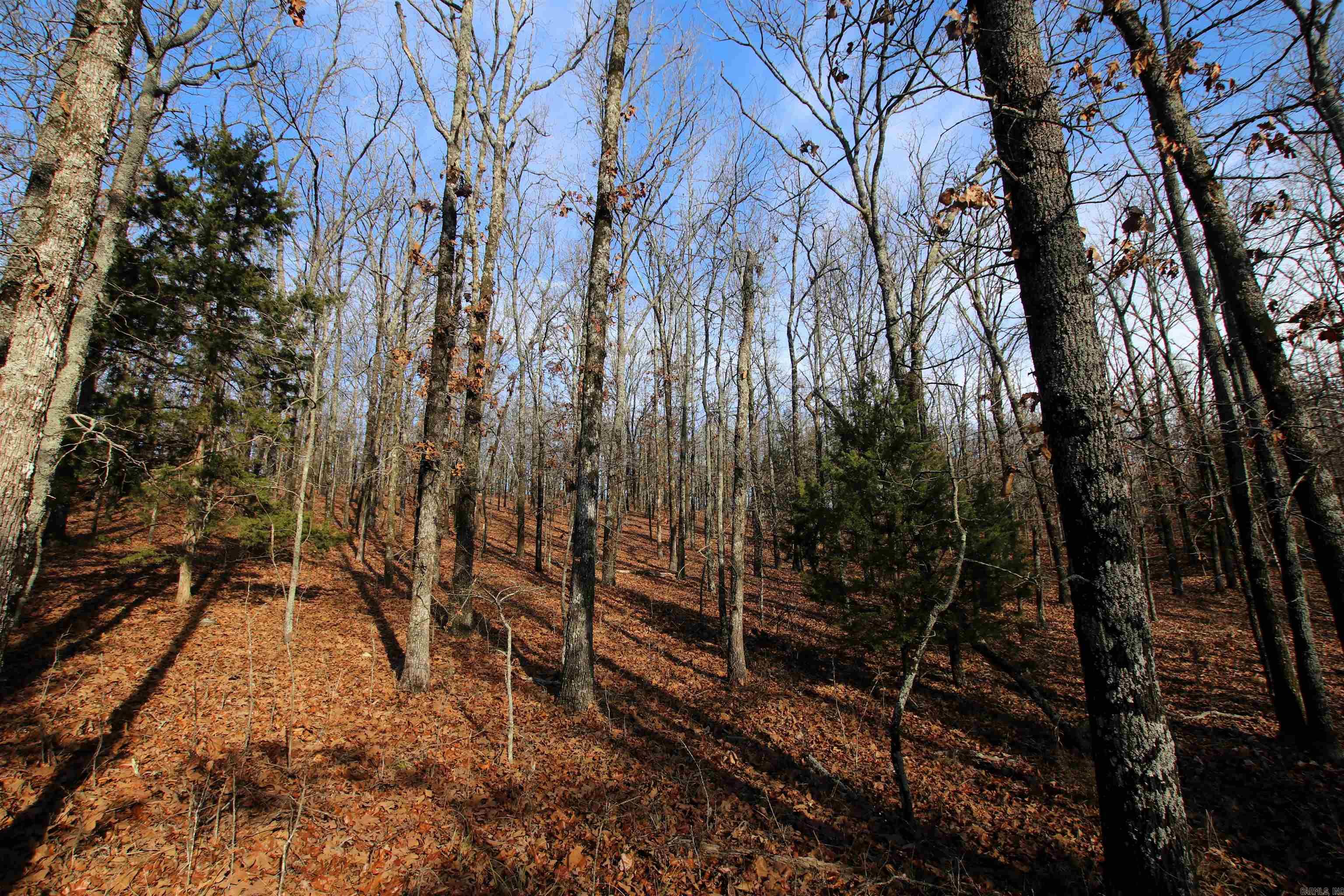 Not in Subdivision - Land