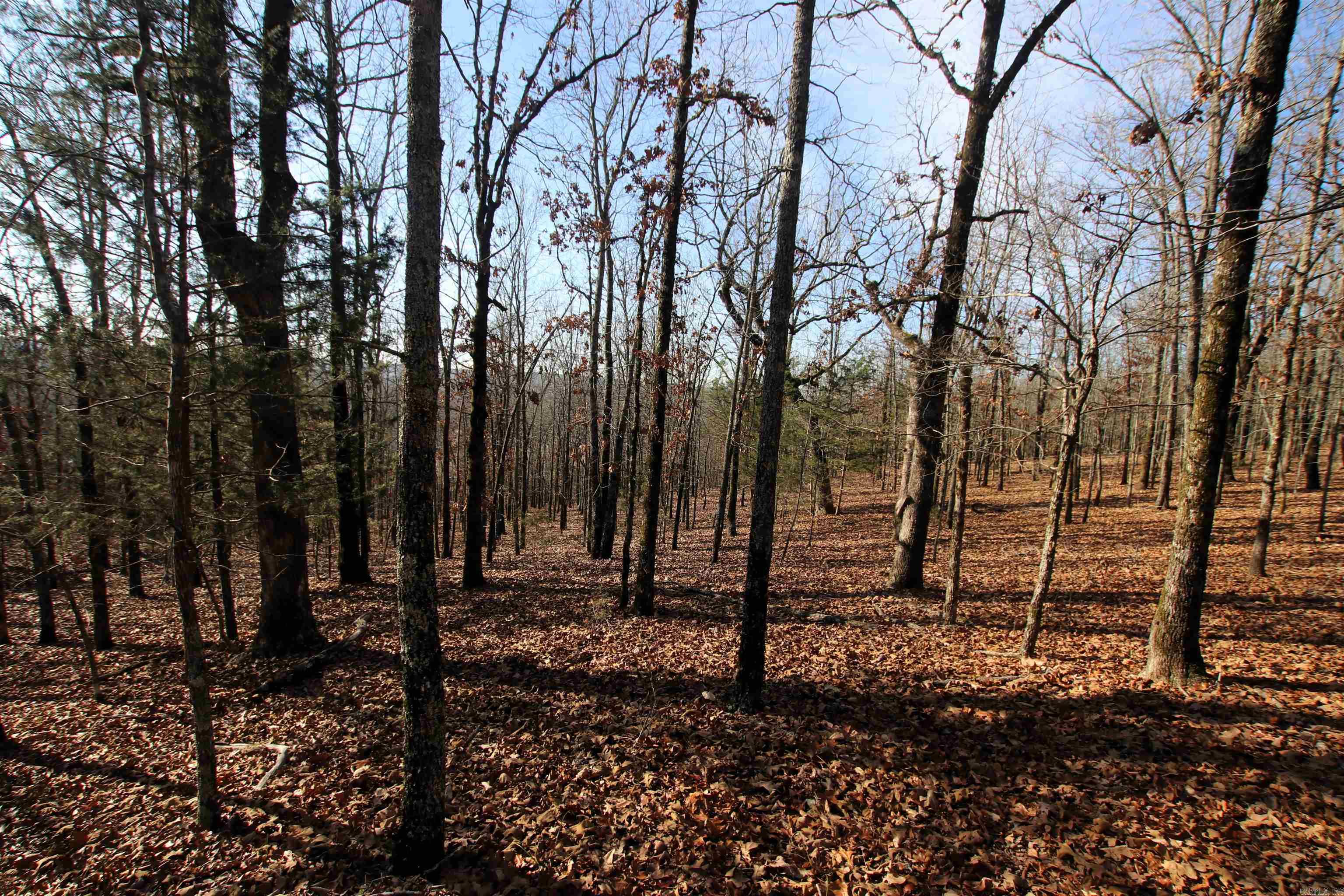 Not in Subdivision - Land