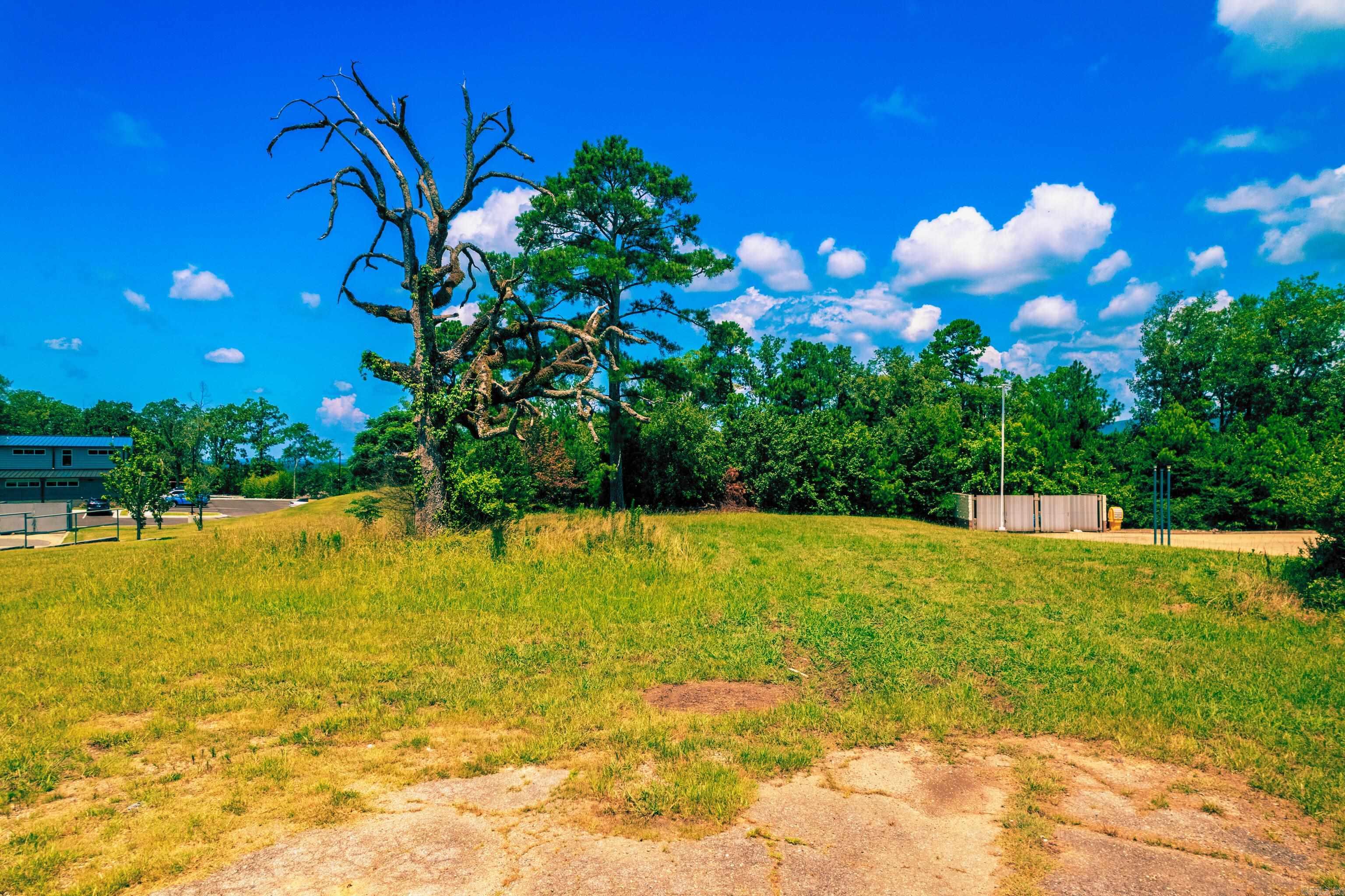 Hot Springs Unplatted - Commercial Sale