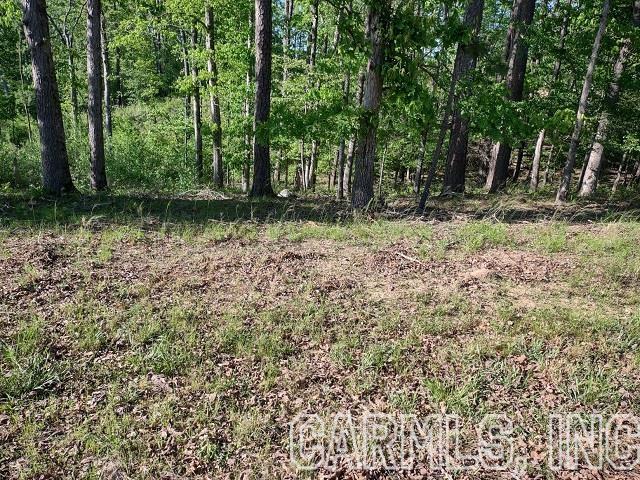 One the large single buildable lots in Diamondhead...Come out and take a look!