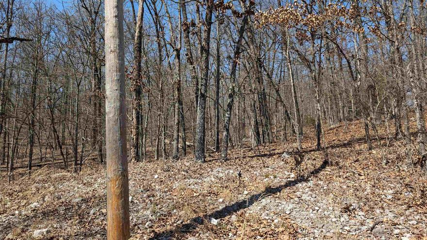 Wooded lot located close to local schools and Lake Mirandy. About 1 mile in either direction to lake access at the dam or the boat launch. City water, sewer and power at the road. Few restrictions-call city of Highland to see if you can do what you want! Close enough to the highway, but secluded enough for privacy. Few houses nearby. Annual taxes only $8!!