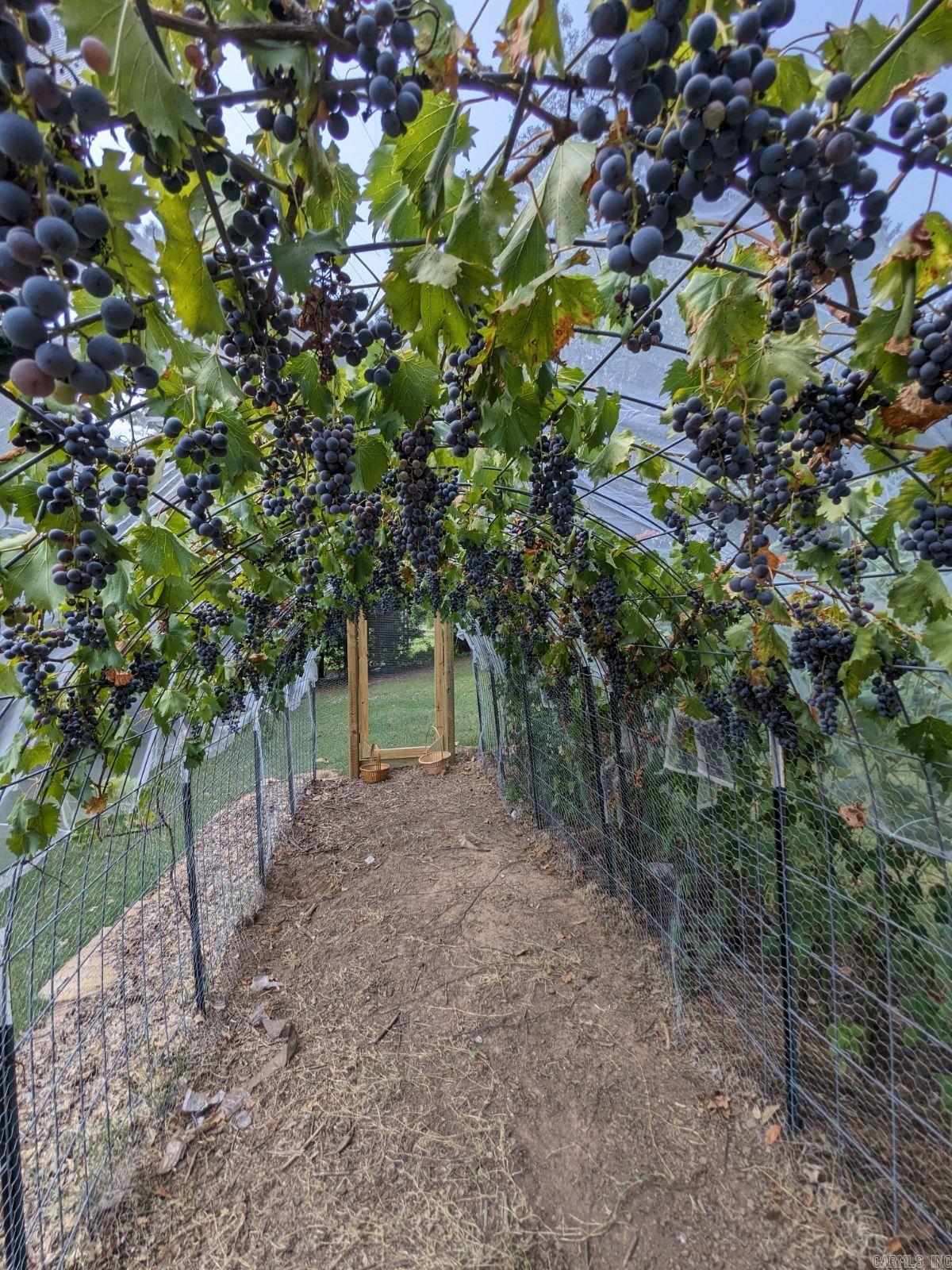 Rolling Hills - Residential